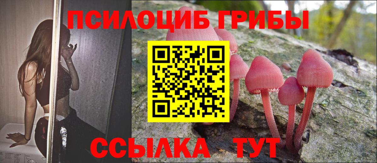 Псилоцибиновые грибы MAGIC MUSHROOMS Сосновый Бор