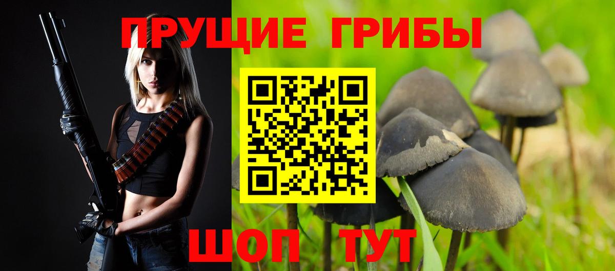 Галлюциногенные грибы Magic Shrooms  Вход с VPN  Сосновый Бор 